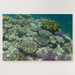 great barrier reef jigsaw puzzle