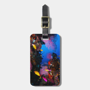 Great Barrier Reef Luggage Tag