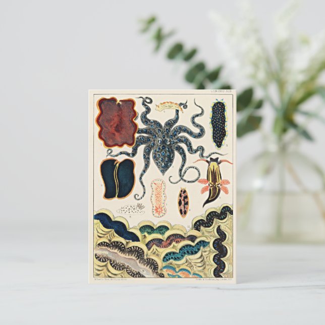 Great Barrier Reef of Australia Postcard (Standing Front)