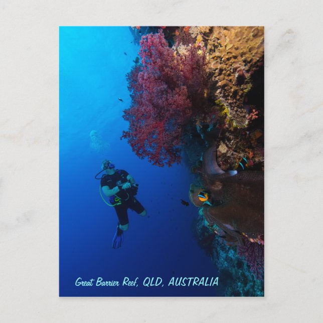 Great Barrier Reef Postcard (Front)