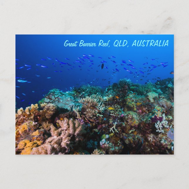 Great Barrier Reef Postcard (Front)