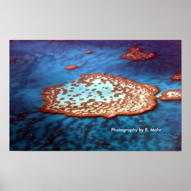 Great Barrier Reef Poster (Front)