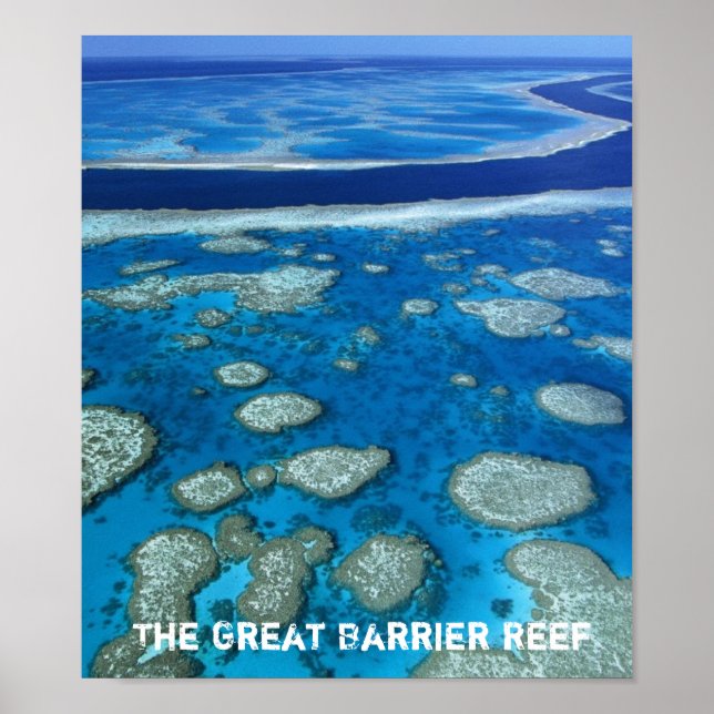 Great Barrier Reef Print (Front)