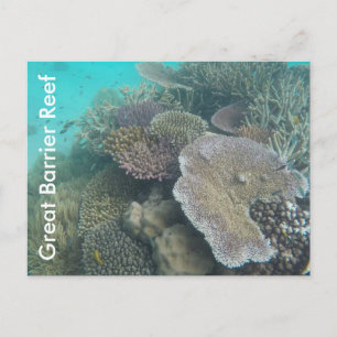 great barrier reef queensland postcard