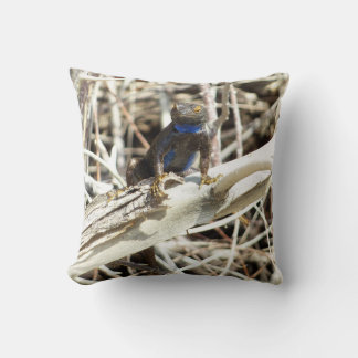 Great Basin Fence Lizard at Joshua Tree Cushion