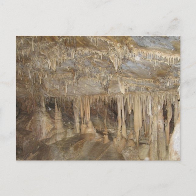 Great Basin ~ Lehman Caves Postcard (Front)