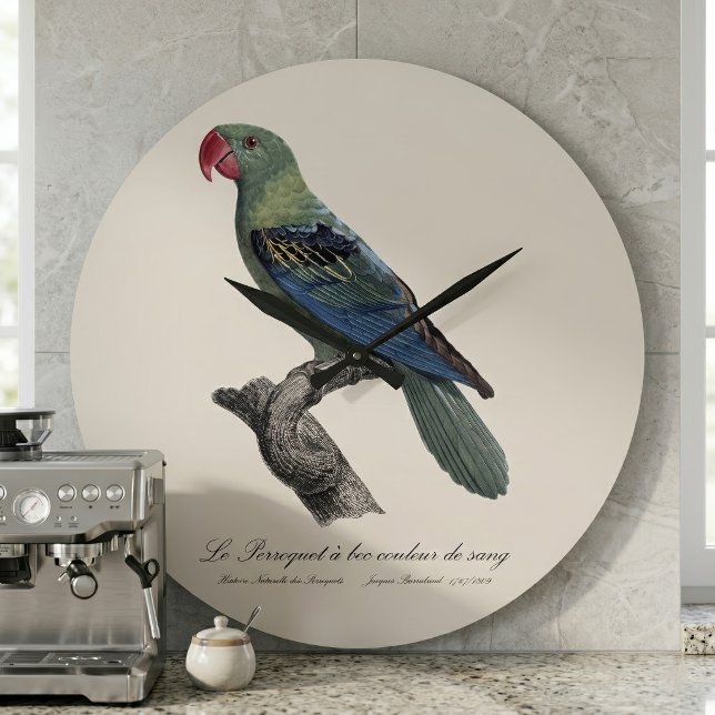 Great-Billed Parrot, Tanygnathus Megalorynchos Large Clock (Great-Billed Parrot, Tanygnathus Megalorynchos. Large Clock )