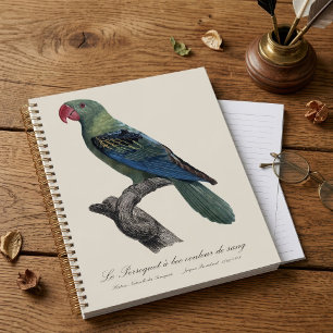 Great-Billed Parrot, Tanygnathus Megalorynchos Planner