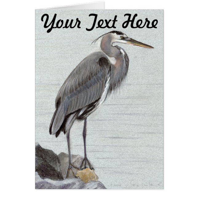 Great Blue Heron (Front)