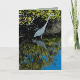Great Blue Heron #1 Greeting Card