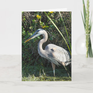 "Great Blue Heron 1." Greeting Card