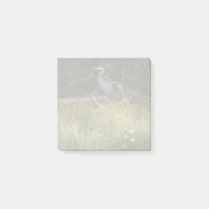 Great Blue Heron 8917 Post-it Notes