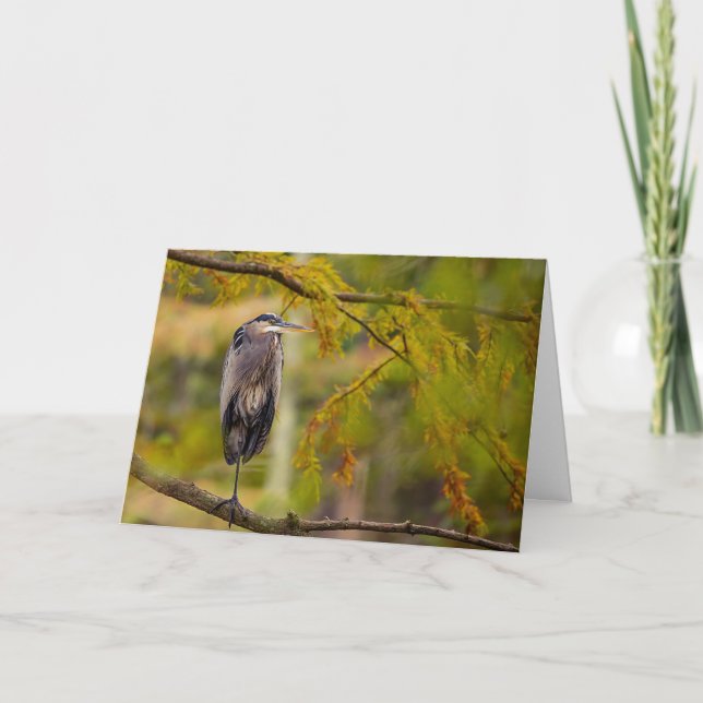 Great Blue Heron Among Fall Leaves Greeting Card (Front)