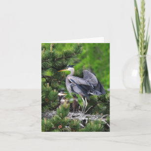 Great Blue Heron and Its Babies! Card