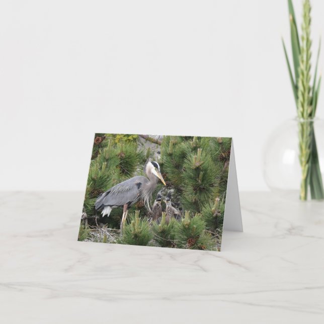 Great Blue Heron and its Babies Card (Front)