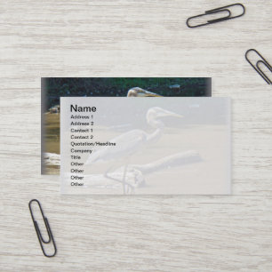 Great Blue Heron - Ardea herodias Business Card