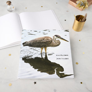 Great Blue Heron (Ardea herodias) Guest Book