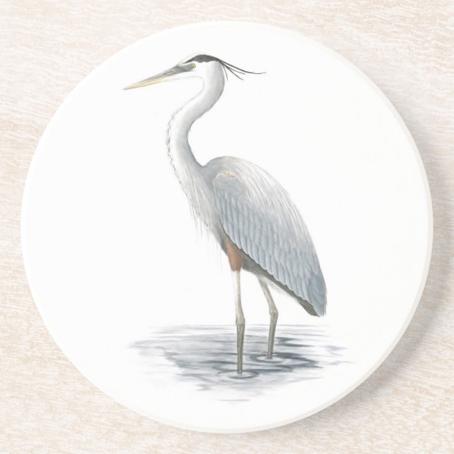 Great Blue Heron Art Sandstone Coaster (Front)