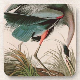 Great Blue Heron Birds of America Audubon Print Coaster