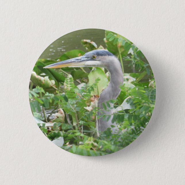 Great Blue Heron button (Front)