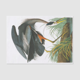 Great Blue Heron by John James Audubon Tissue Paper