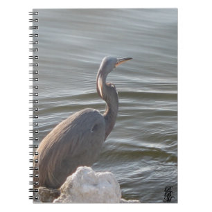 Great Blue Heron by the Water Notebook