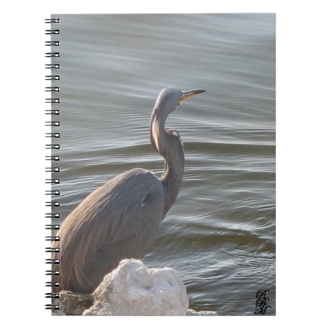 Great Blue Heron by the Water Notebook (Front)