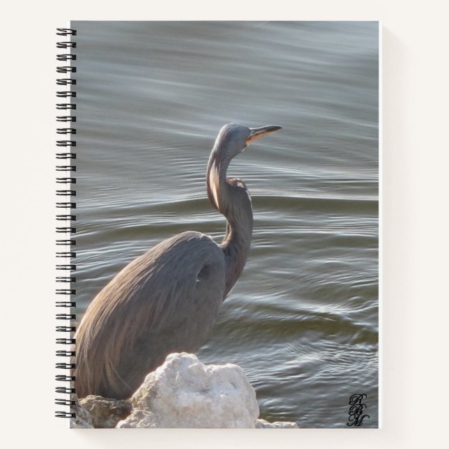 Great Blue Heron by the Water Notebook (Front)