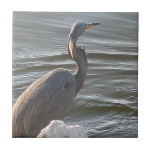 Great Blue Heron by the Water Tile