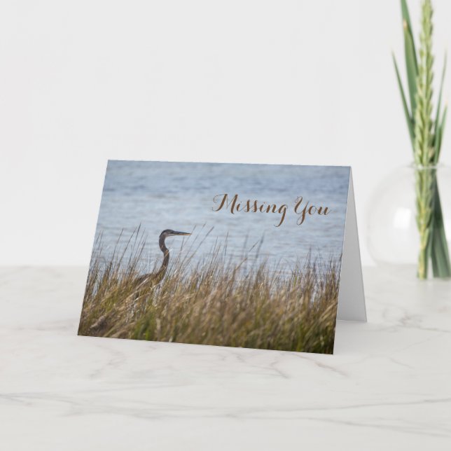 Great Blue Heron Card (Front)