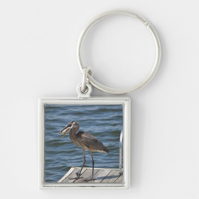 Great Blue Heron Close Up Key Ring (Front)