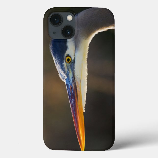 Great Blue Heron, close up portrait Case-Mate iPhone Case (Back)