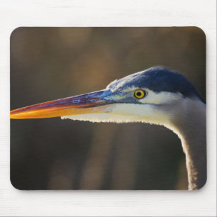 Great Blue Heron, close up portrait Mouse Pad