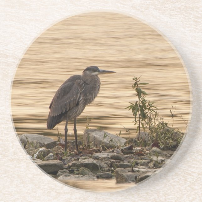 Great Blue Heron Coaster (Front)