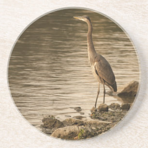 Great Blue Heron Coaster