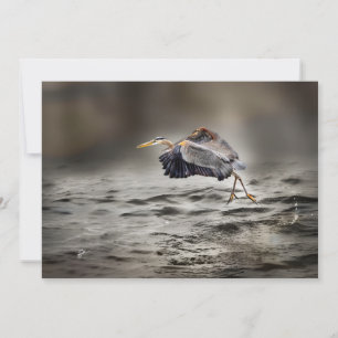 Great Blue Heron Dancing Over the Lake Blank Card