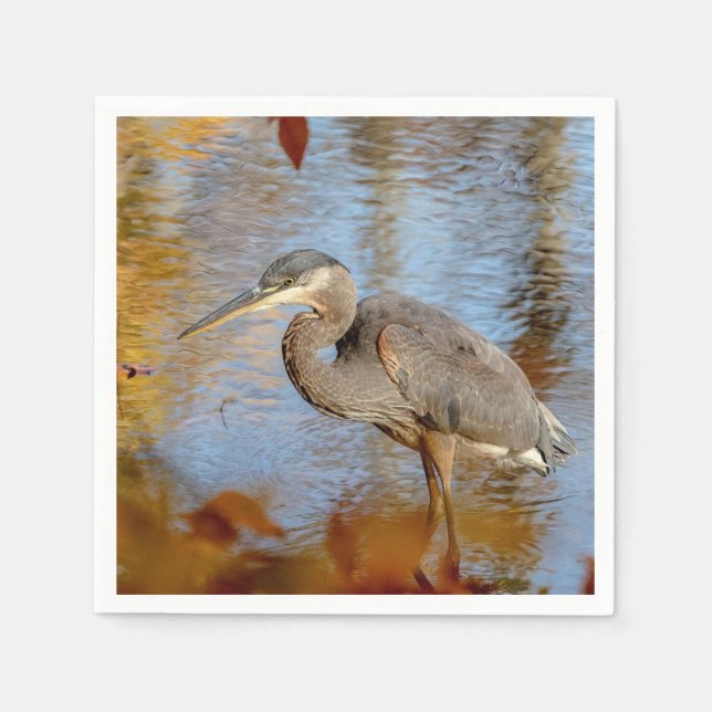Great Blue Heron framed with fall foliage Napkin (Front)