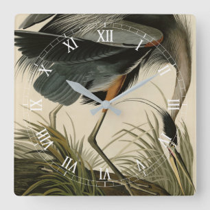 Great Blue Heron from Audubon's Birds of America Square Wall Clock