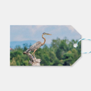 Great Blue Heron Gift Tags