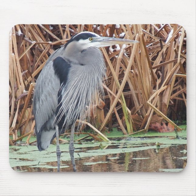 Great Blue Heron Hunting In Winter Mouse Pad (Front)