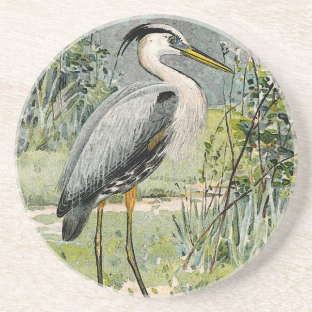 Great Blue Heron Illustration Coaster (Front)