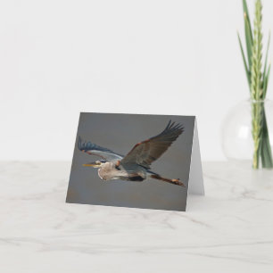 Great Blue Heron In Flight - (Ardea herodias) Card