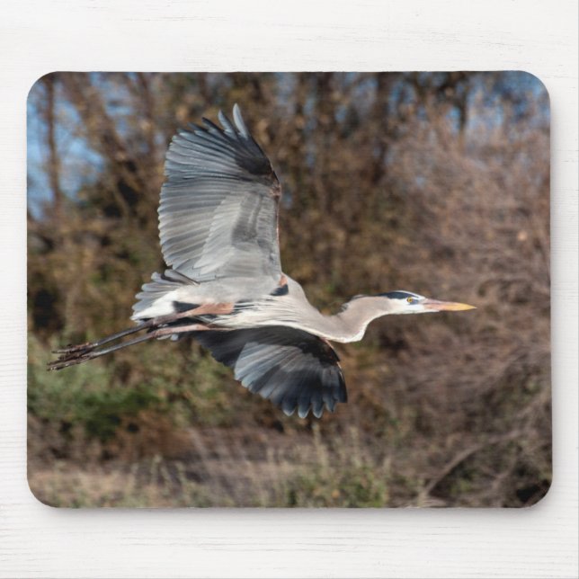 Great Blue Heron in flight Mouse Pad (Front)