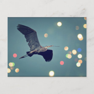 Great Blue Heron In Flight Postcard