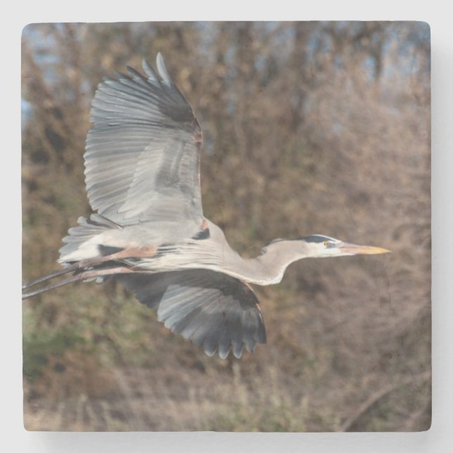 Great Blue Heron In flight Stone Coaster (Front)
