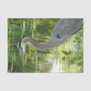 Great Blue Heron In pond- Green Tissue Paper
