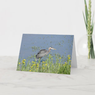 Great Blue Heron in River. Card