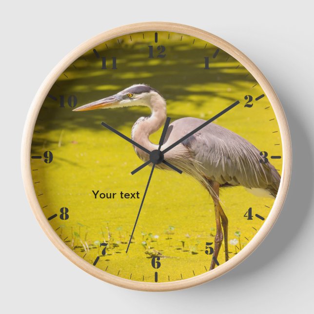 Great Blue Heron in the pond Clock (Front)