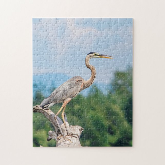 Great Blue Heron Jigsaw Puzzle (Vertical)