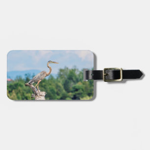 Great Blue Heron Luggage Tag